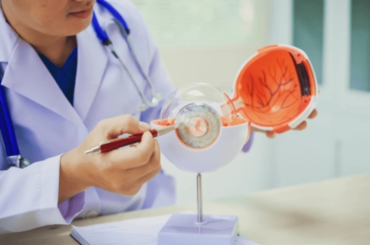 Retinopathy Screening